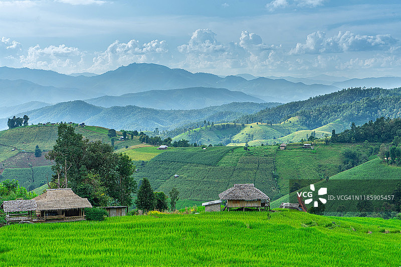 泰国清迈府湄占县的梯田图片素材