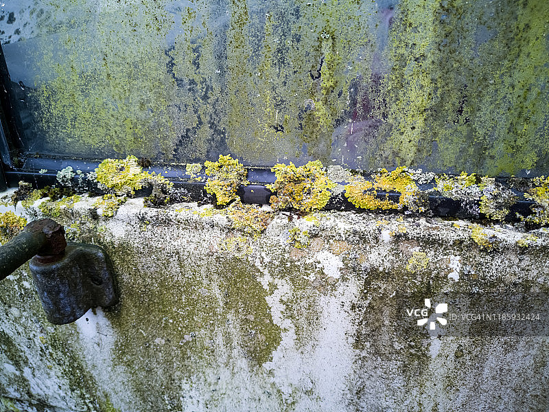 衰老过程图片素材