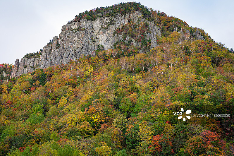 秋季连衣裙图片素材