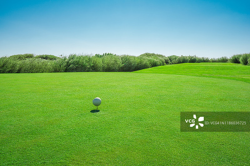 阳光明媚的绿色高尔夫球场上的高尔夫球图片素材