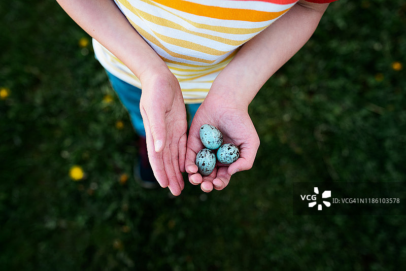 儿童拿着三个蓝色的鸟蛋图片素材