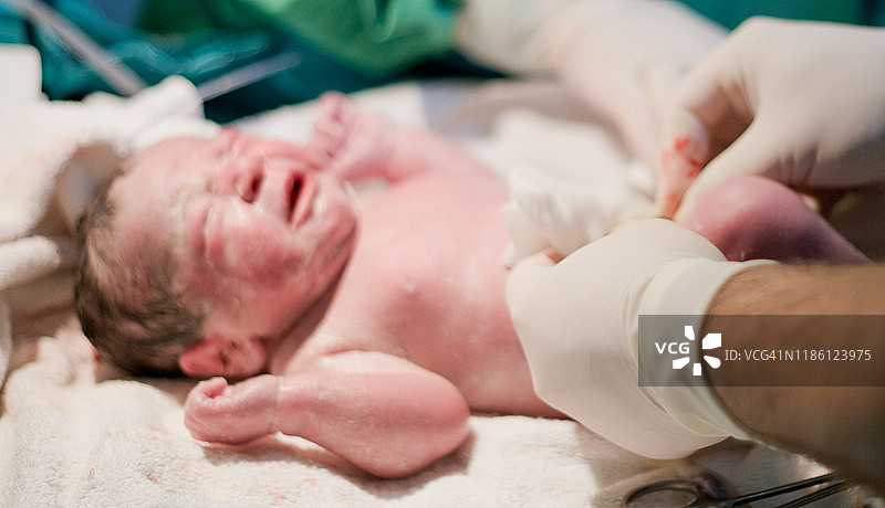 新生儿图片素材