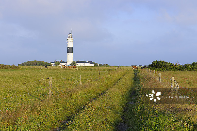 草地上的灯塔；德国石勒苏益格荷尔斯泰因州叙尔特岛北弗里西亚群岛坎彭北海图片素材