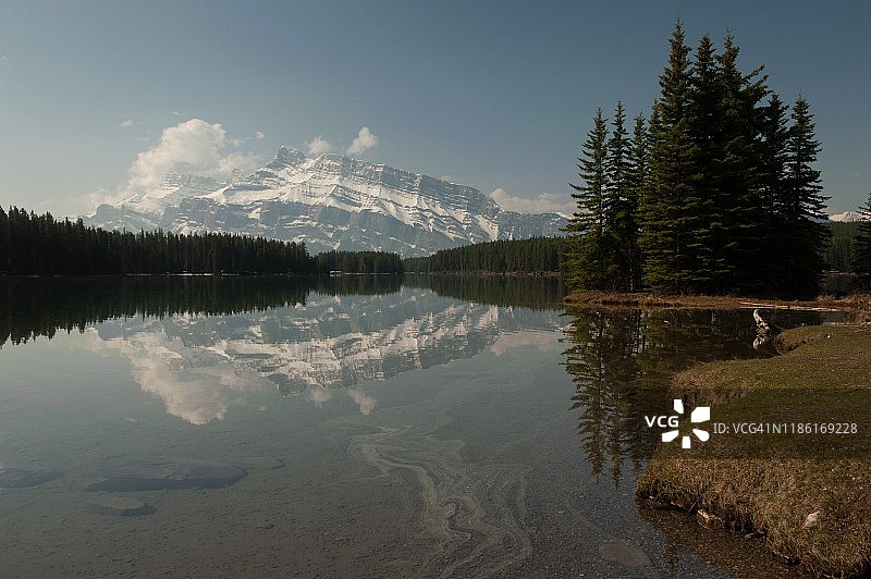 Two Jack的早晨图片素材