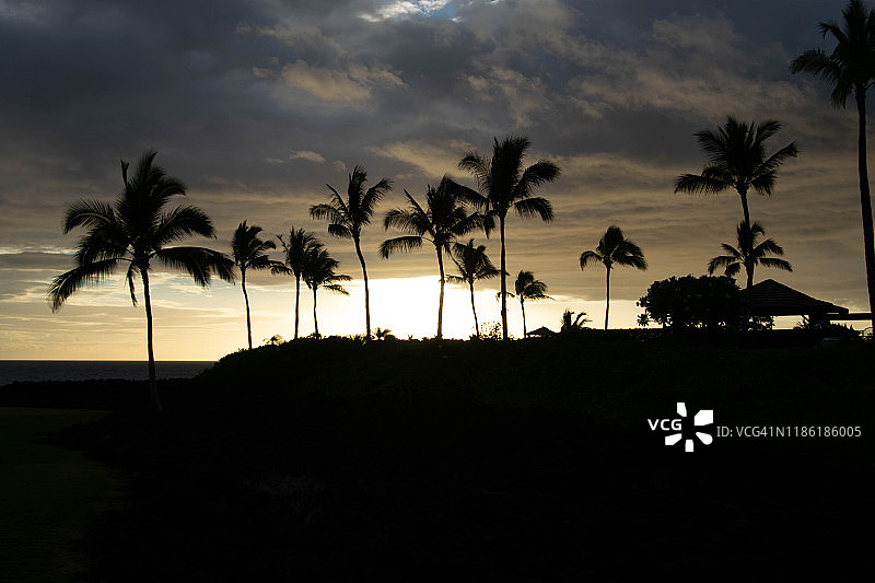 夏威夷日落下的棕榈树图片素材