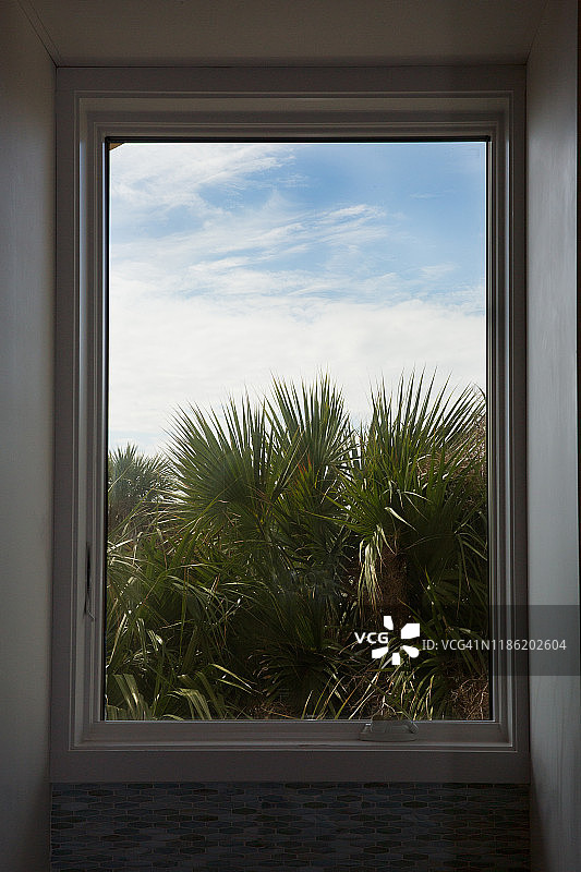 窗框中的热带景色图片素材