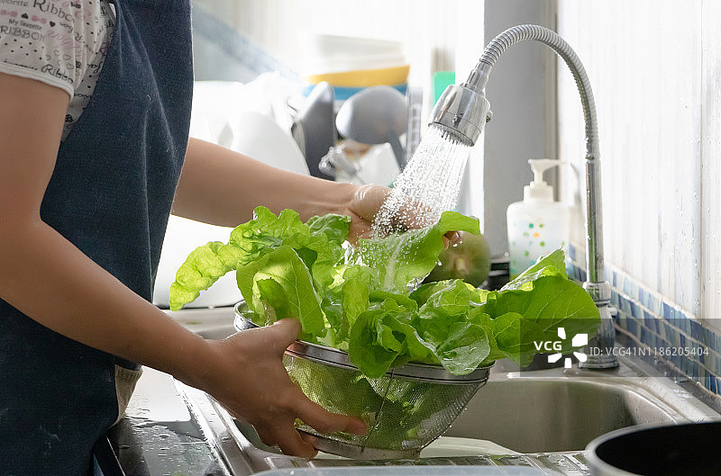 女人在水槽里清洗蔬菜叶子图片素材