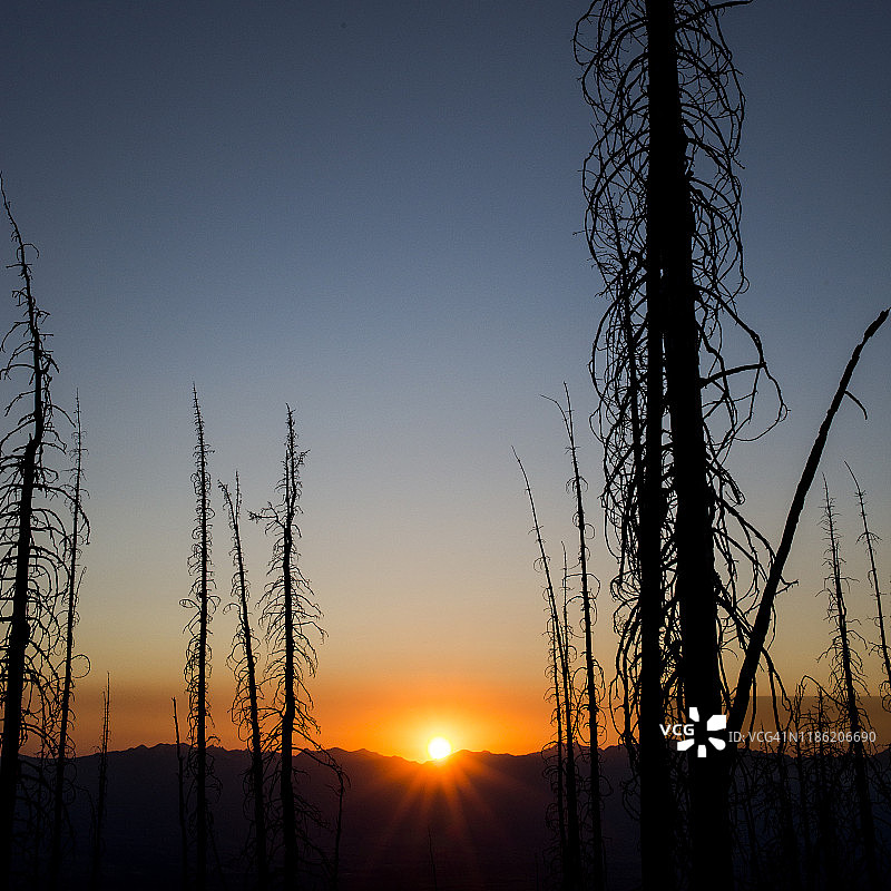 蒙大拿州西部苦根山脉的日落图片素材