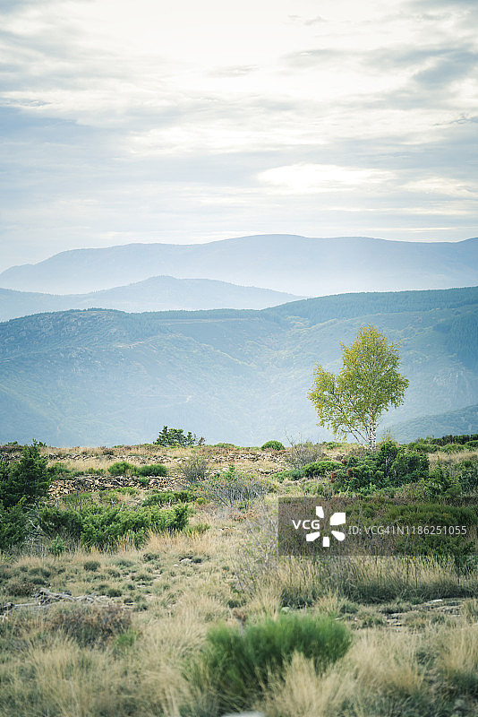 2019年11月秋色中的塞文山脉图片素材