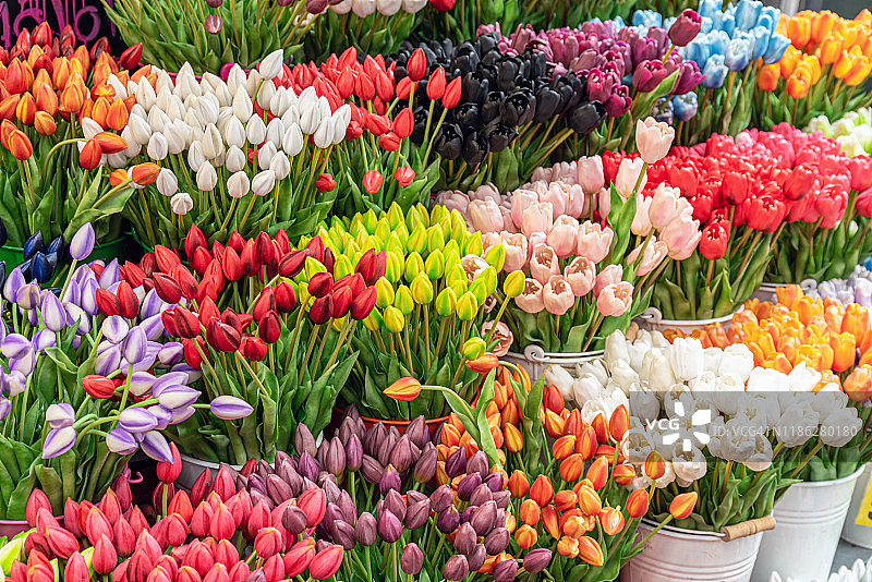 阿姆斯特丹花卉市场出售的彩色郁金香图片素材