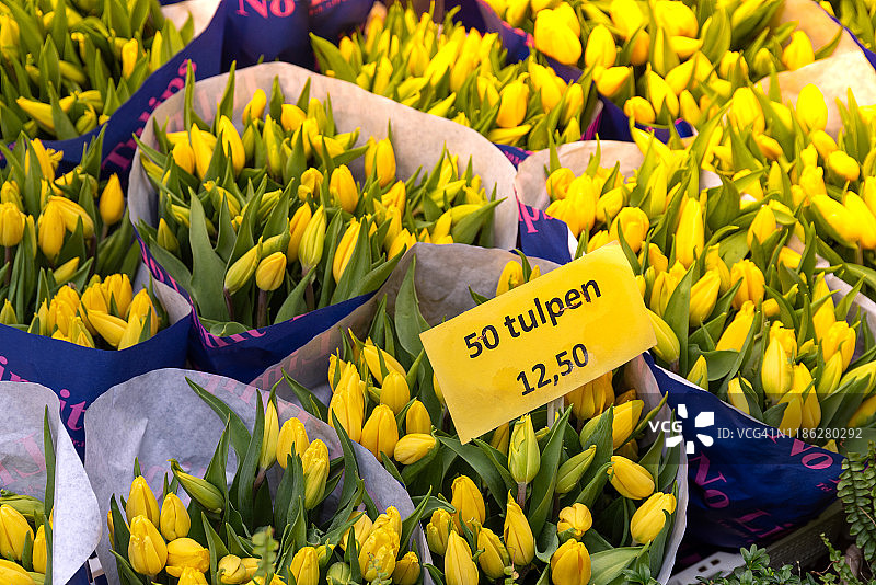 阿姆斯特丹花卉市场出售的黄色郁金香图片素材