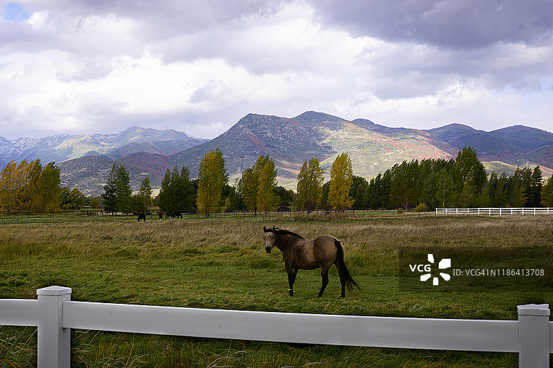 秋季待命图片素材