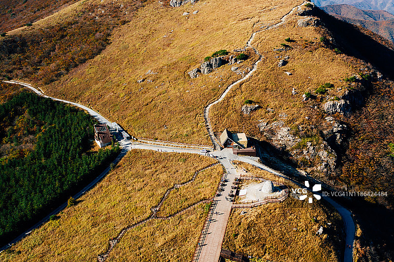 干月斋的火焰草和秋色图片素材