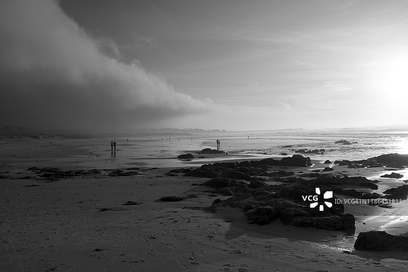 加利福尼亚北部海滩的黑白风光图片素材