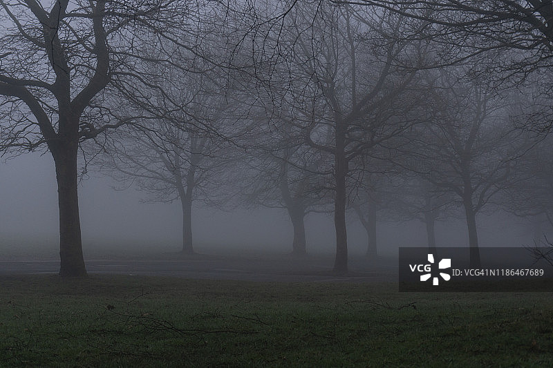 英国曼彻斯特希顿公园的雾蒙蒙早晨图片素材