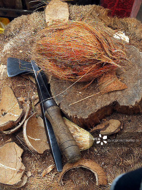 椰子商人图片素材