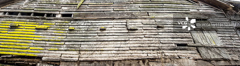 秋季的黄橙色图片素材