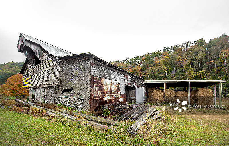 秋季的黄橙色图片素材