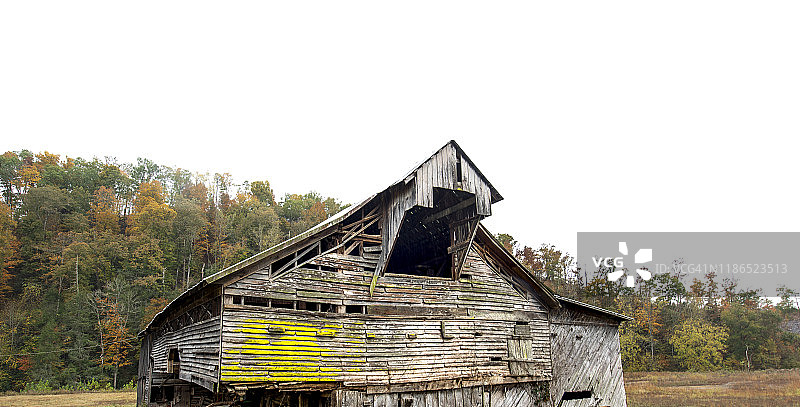 秋季的黄橙色图片素材