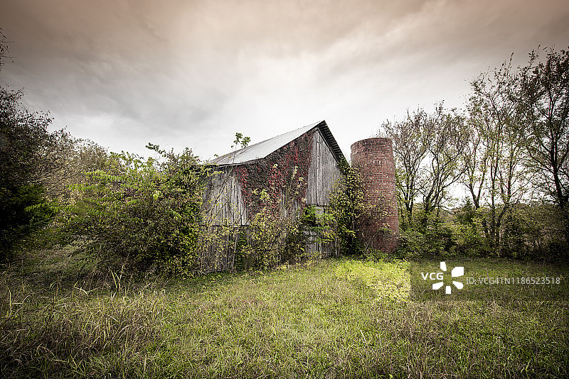 秋季的黄橙色图片素材