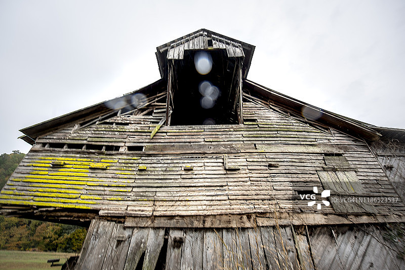 秋季的黄橙色图片素材