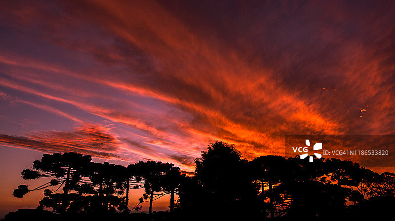 坎普斯杜若尔当市日落图片素材