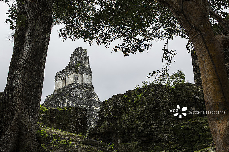 森林中古老废墟的仰视角度图片素材