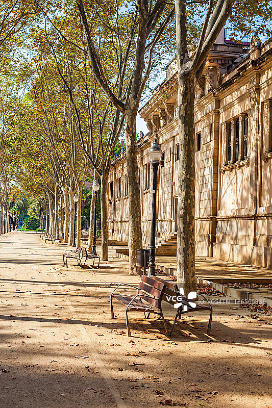 巴塞罗那老城区的长凳和林荫小巷图片素材