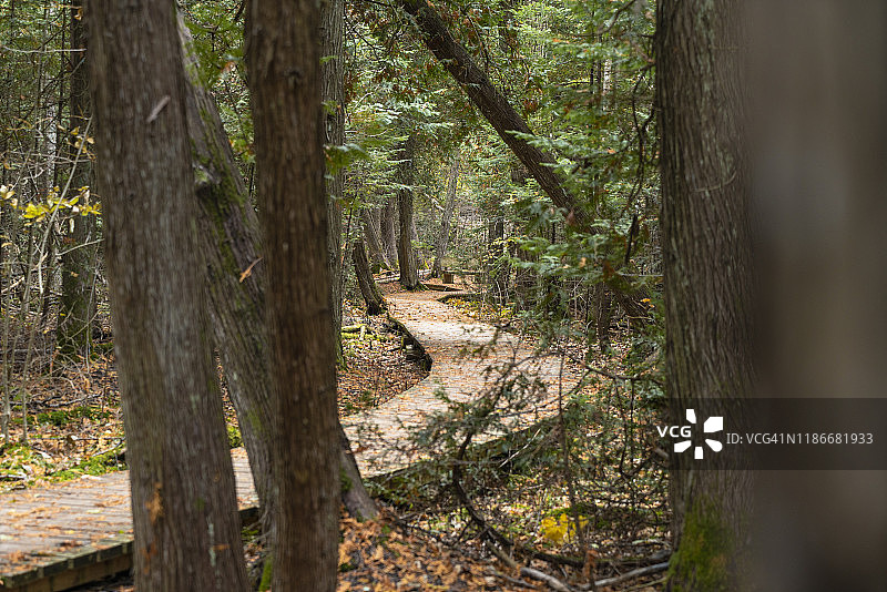 布鲁斯步道图片素材