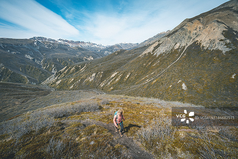 在绵羊山徒步的女人图片素材