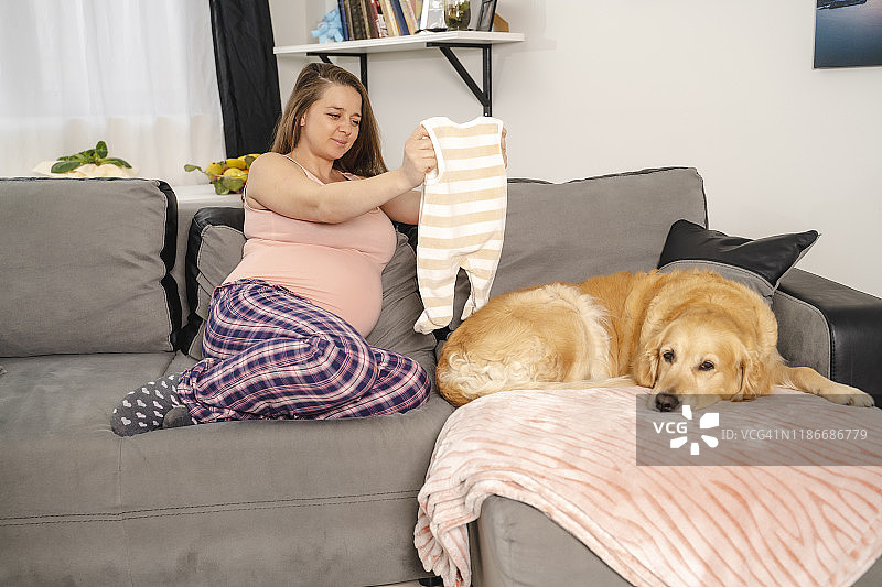 可爱的年轻孕妇抱着她未来的婴儿衣服，旁边是金毛寻回犬图片素材