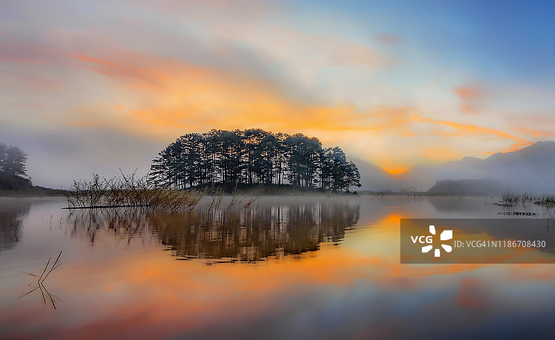 日出时分，湖面倒映着翠绿的松树林图片素材