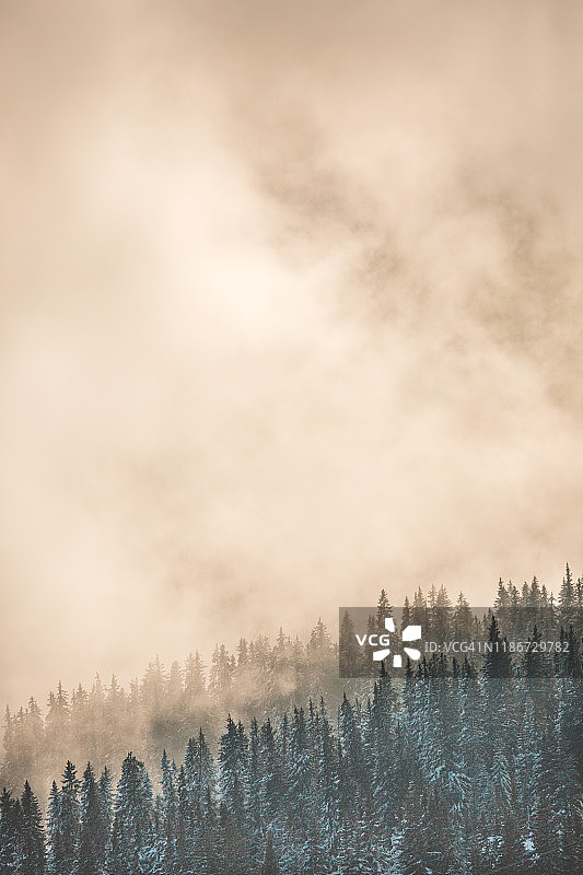阿尔卑斯山脉雪林云卷云舒图片素材