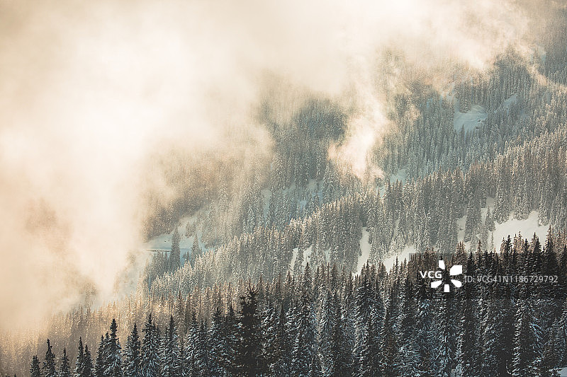 阿尔卑斯山脉雪林云卷云舒图片素材