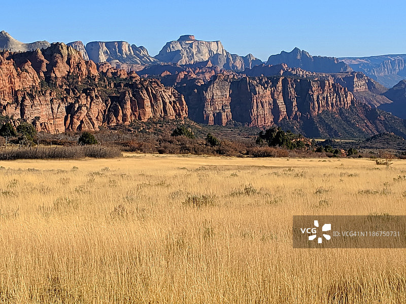 锡安国家公园科罗布台地洞穴谷草甸的秋季草地景观，远处可见西庙图片素材