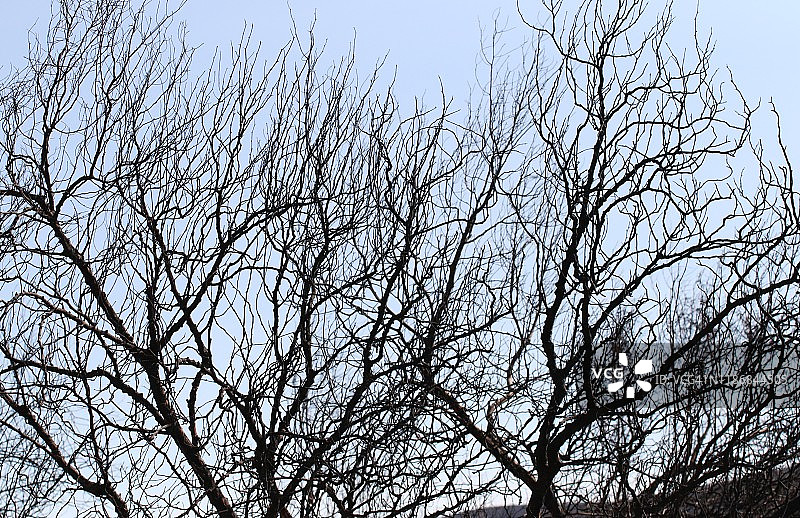 “易燃”火灾席卷了加利福尼亚州西米谷，里根图书馆周围，消防员和工作人员努力拯救图书馆、家园和企业图片素材