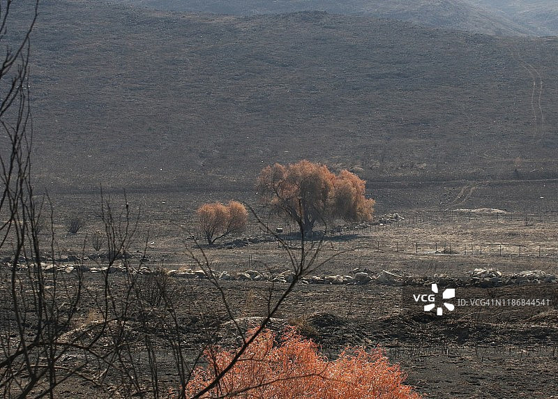 “易燃”火灾席卷了加利福尼亚州西米谷，里根图书馆周围，消防员和工作人员努力拯救图书馆、家园和企业图片素材