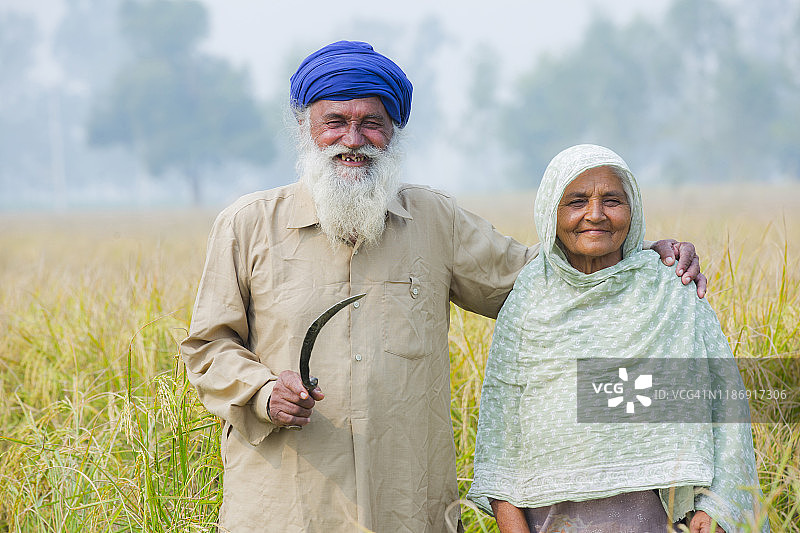 在农田里的年长农民夫妇照片图片素材