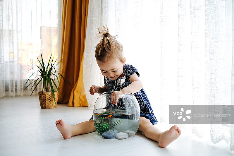 可爱孩子喂金鱼图片素材