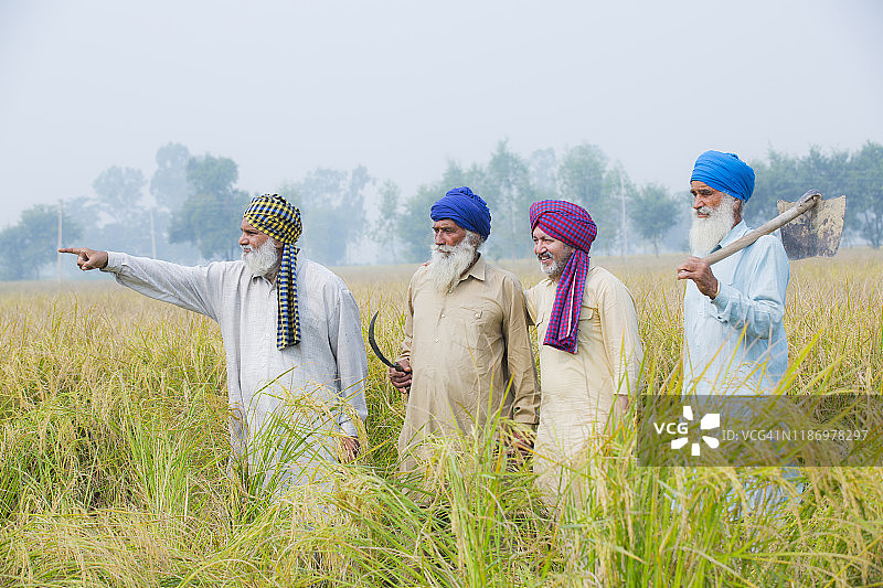 一家多代在农田里 - 摄影素材图片素材