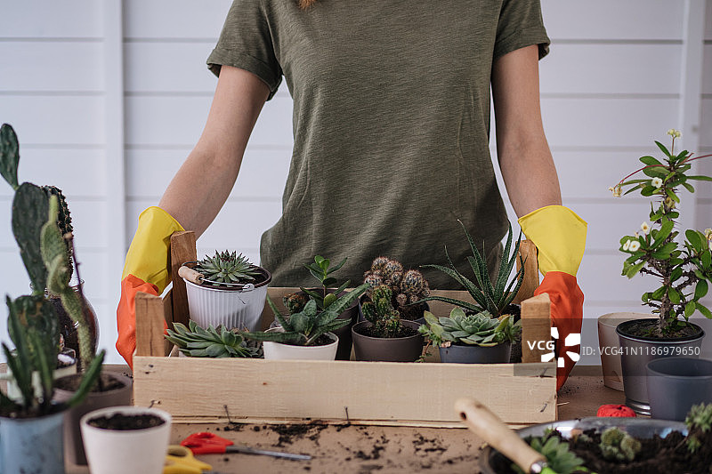 女人享受周末的植物爱好图片素材