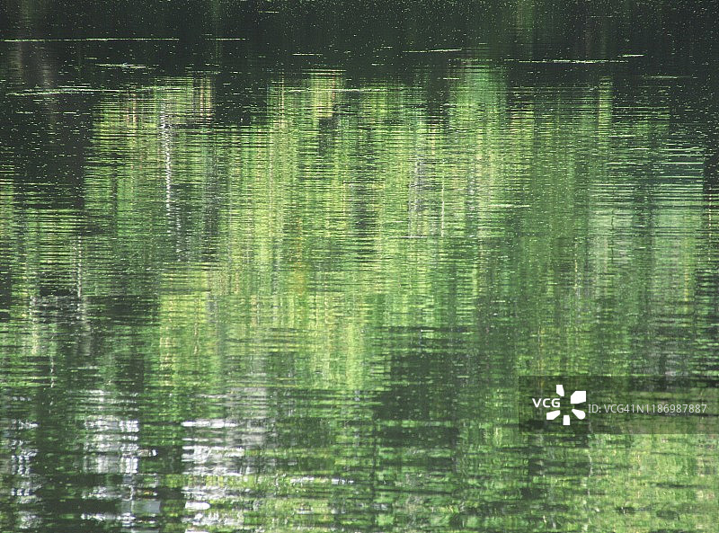 水面光影树木倒影自然风光图片素材