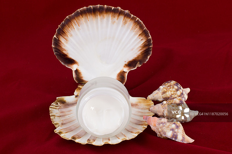 扇贝形皂碟中的面霜图片素材