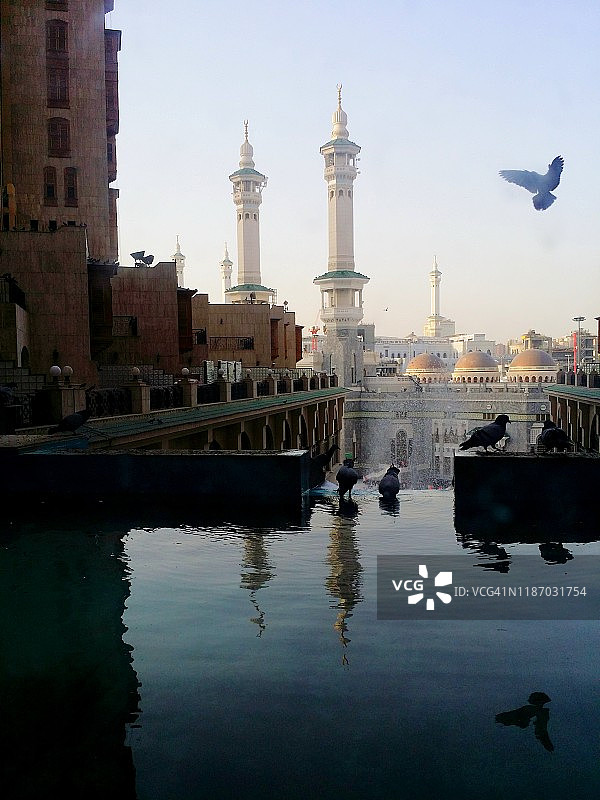 麦加禁寺宣礼塔前飞翔的鸽子和水景图片素材