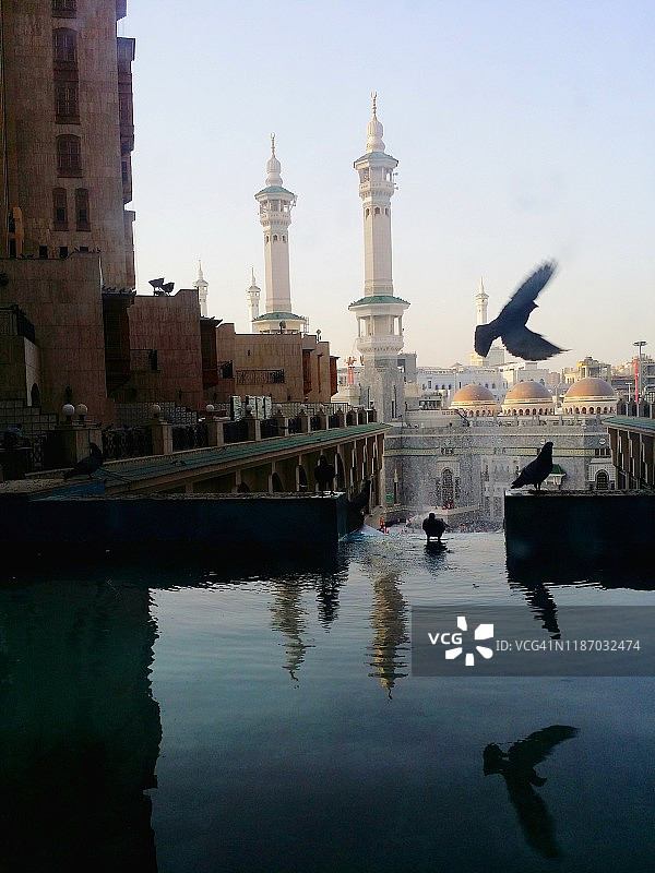 麦加禁寺宣礼塔前飞翔的鸽子和水景图片素材