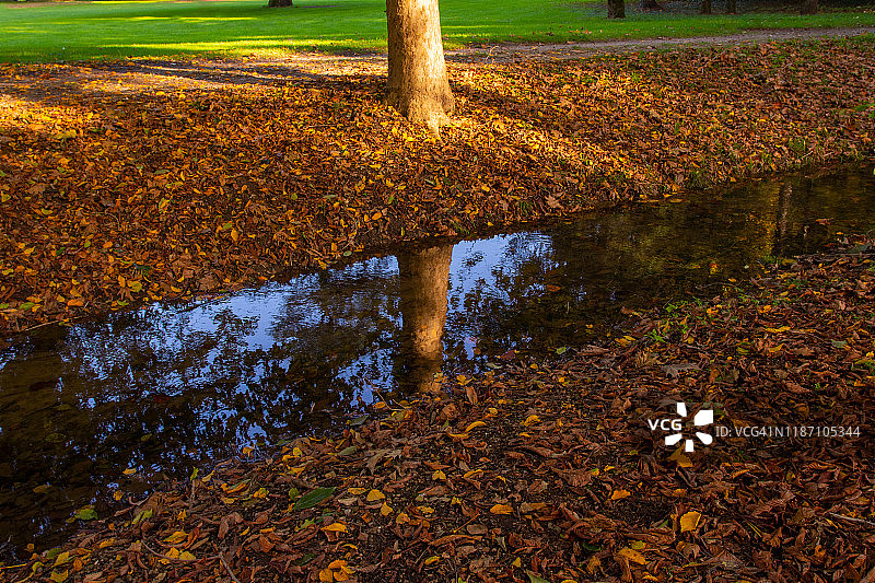 蒙扎公园皇家别墅花园图片素材