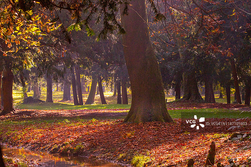 蒙扎公园皇家别墅花园图片素材