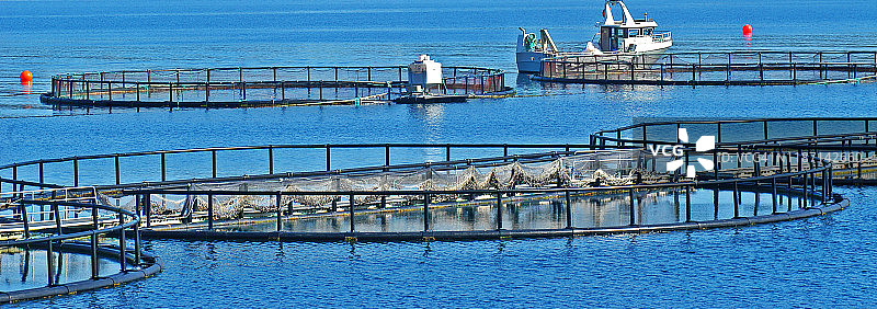 挪威罗弗敦群岛的渔业图片素材