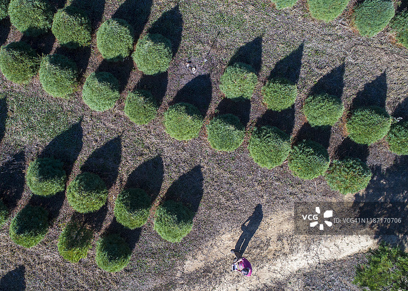 无人机操作员图片素材