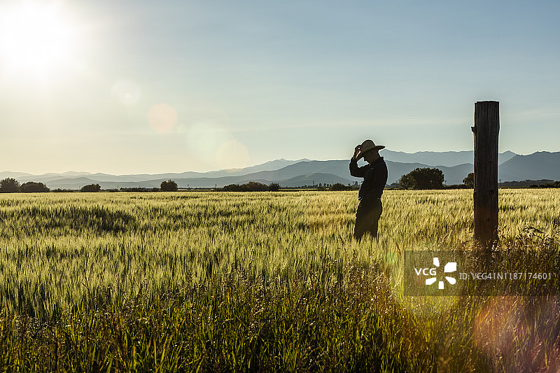 美国爱达荷州皮卡博农田中的农民轮廓图片素材